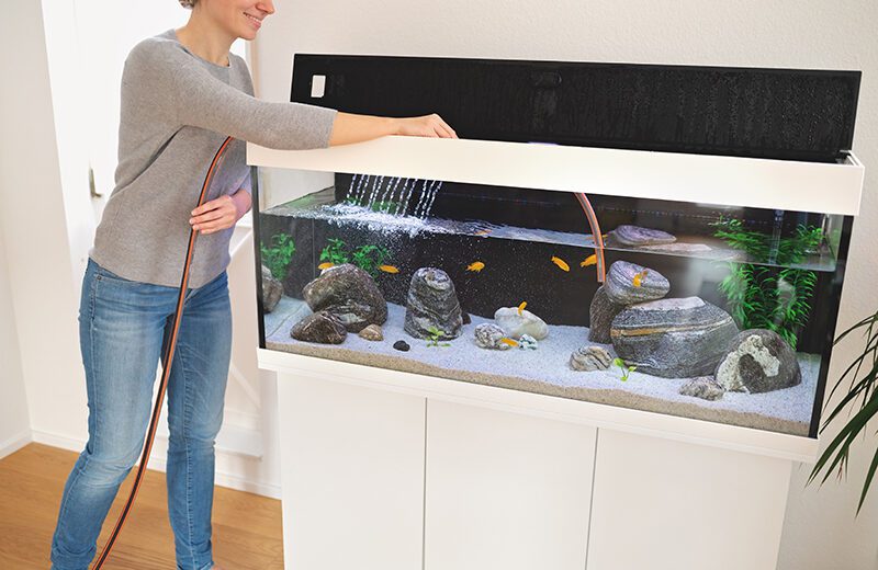 How To Clean A Fish Tank